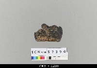 藏品(中國湖北皮影戲盔帽-常民便帽)的圖片